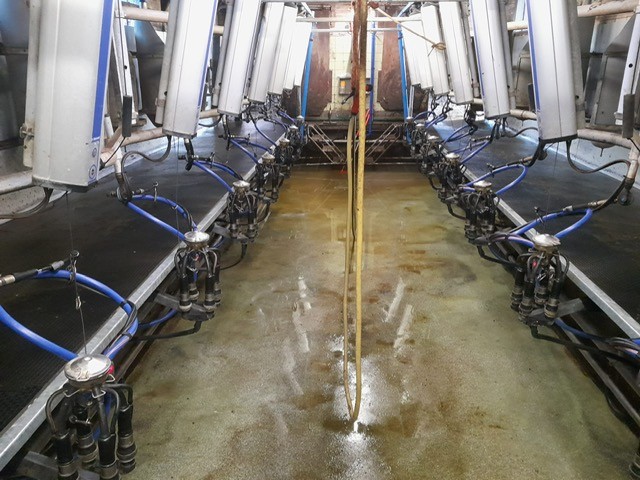 Renovatie 2 × 8-melkstal bij Terwisscha-van Scheltinga